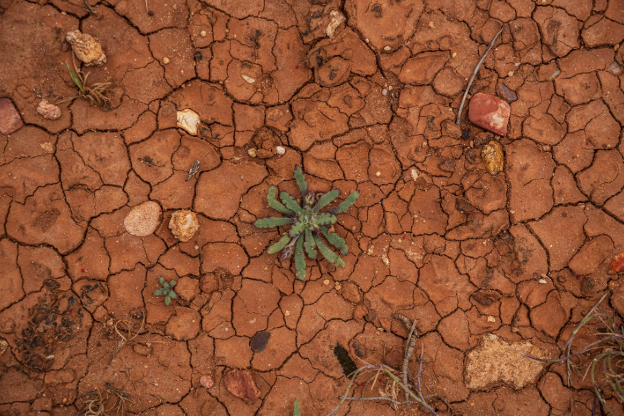 Illustrative photo: Bartłomiej Balicki / Unsplash — Land degradation
across affected communities has destroyed farmland families depended on for
both food and income.