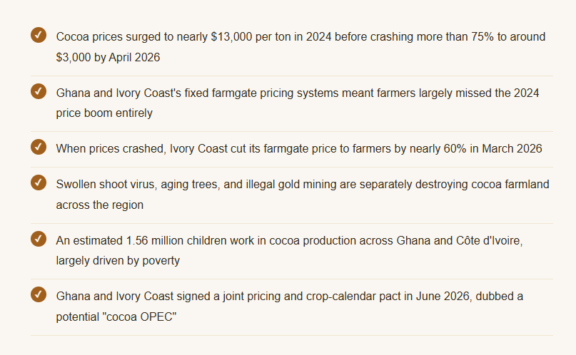 Nobody Told the Farmers the Chocolate Boom Was Happening Without Them