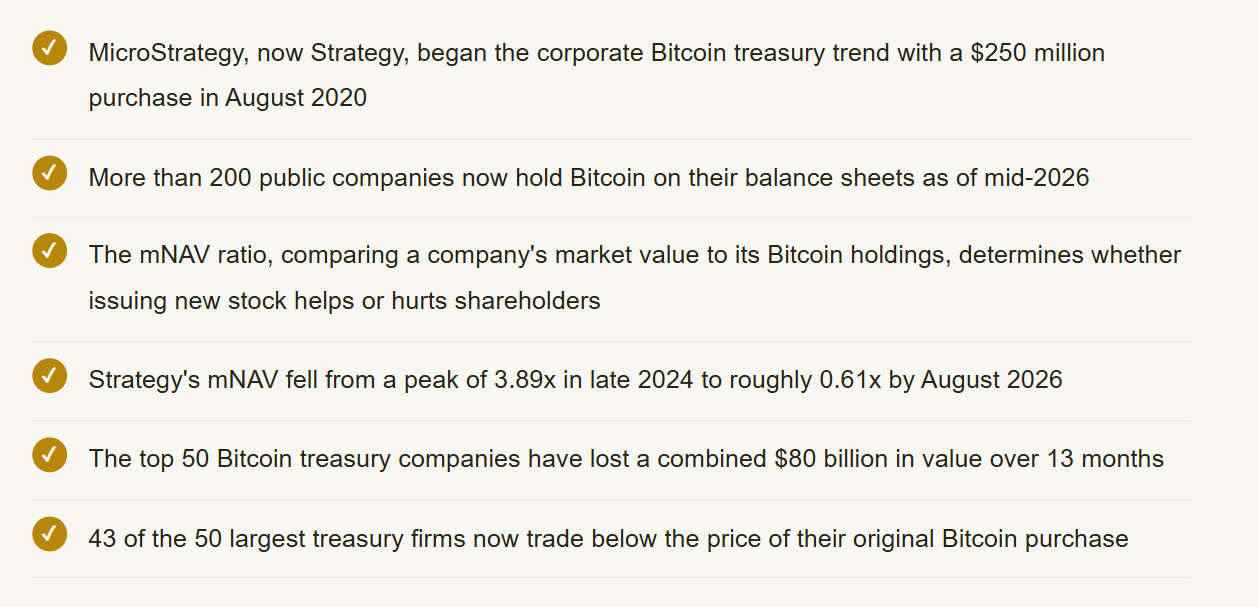 How Hundreds of Ordinary Companies Quietly Turned Themselves Into Bitcoin Funds, and Why the Model Is Now Cracking