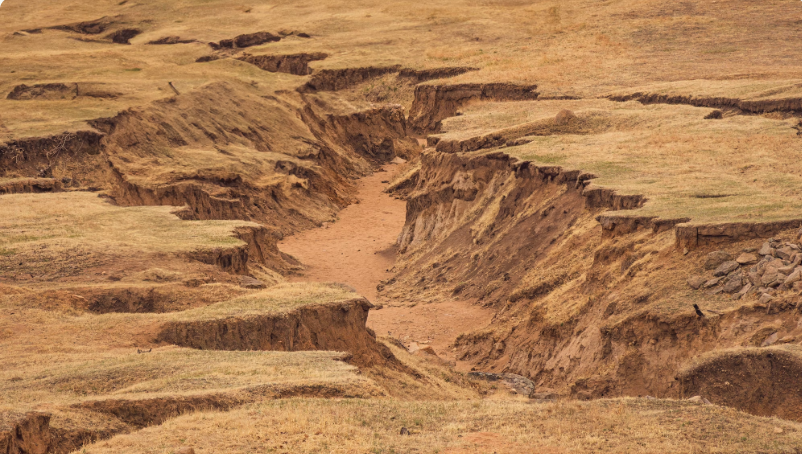 Illustrative photo: Yihan Wang / Unsplash — Gully erosion of this kind
becomes largely self-perpetuating once it reaches sufficient depth, with each
rainy season widening and deepening the channel further.
