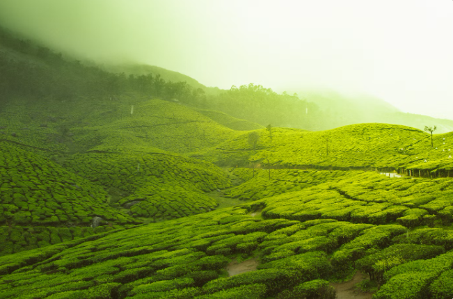 Terrain like this — remote, hilly, spread
across small settlements — is exactly where laying traditional broadband
infrastructure struggles to make economic sense.