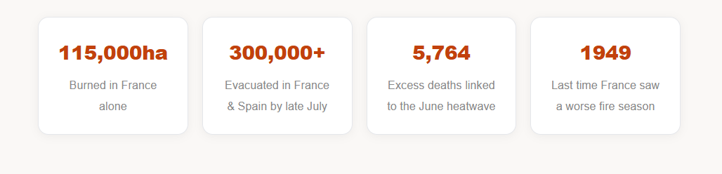 The Summer Europe Burned: Inside France and Portugal's Worst Wildfire Season in Decades