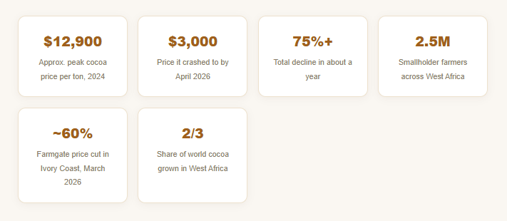 Nobody Told the Farmers the Chocolate Boom Was Happening Without Them