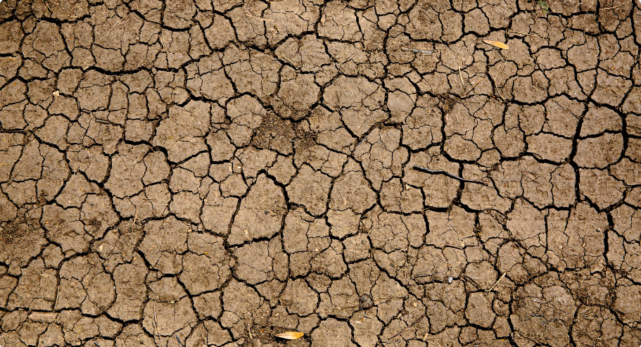 Photo: Mike Erskine /
Unsplash — the drought behind Puerto Rico's water crisis has been described by
officials as among the most severe the island's reservoir system has ever
faced.
